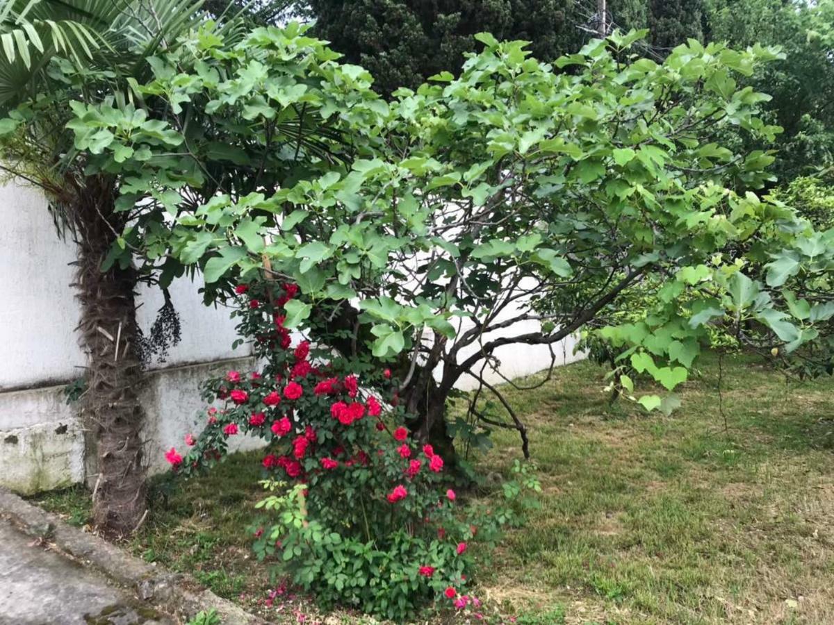 Guest House Dali Gagry Zewnętrze zdjęcie